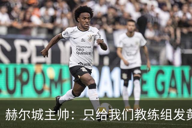 赫尔城主帅：只给我们教练组发黄牌却不警告纽卡，我觉得不太公平